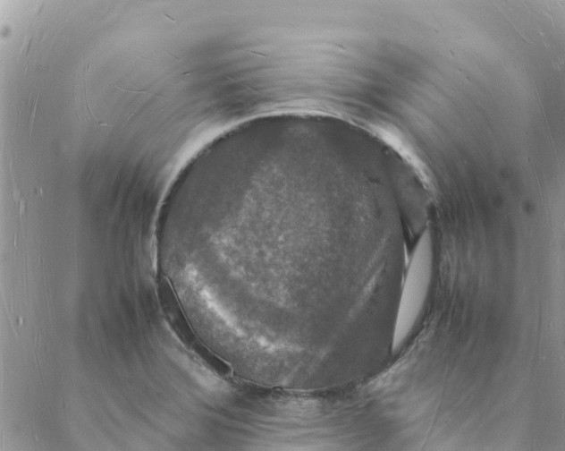 X0000088071372200706011503