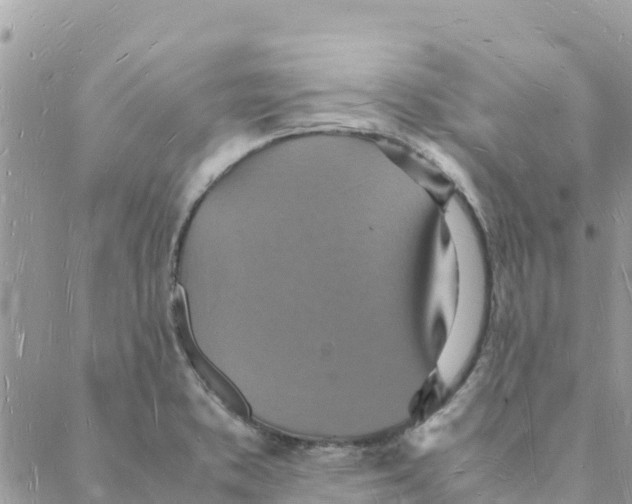 X0000088071373200706011503