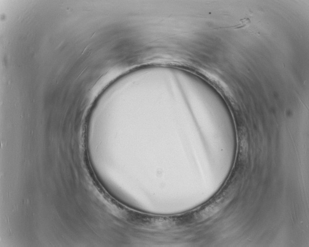 X0000088071375200706011503