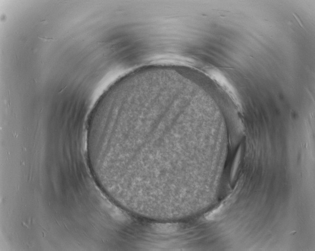 X0000088071376200706011503