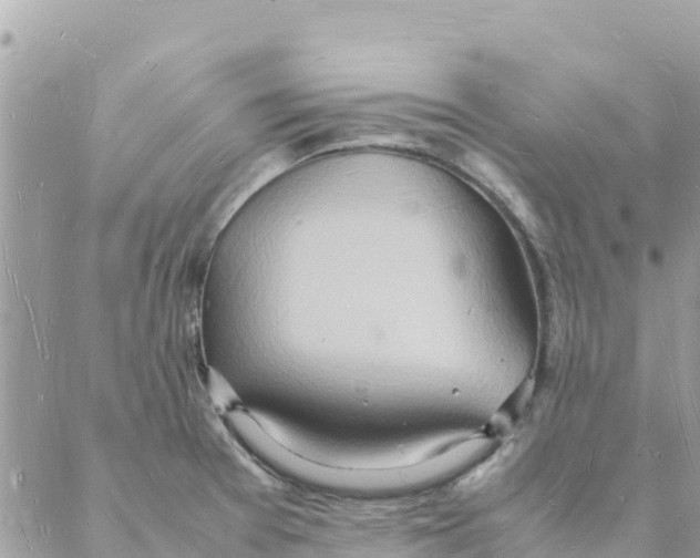 X0000088071377200706011503