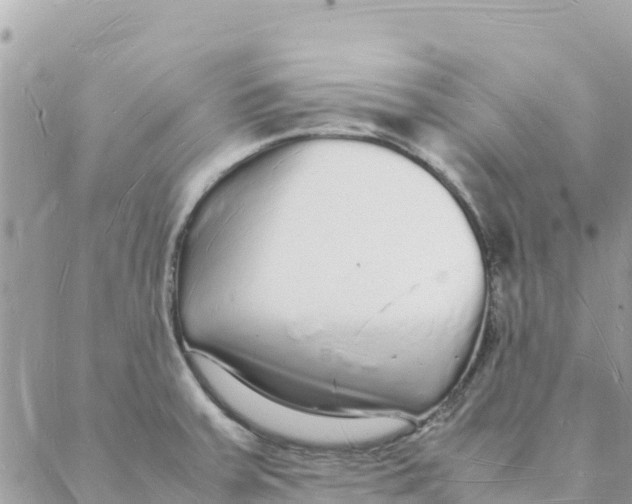 X0000088071379200706011503