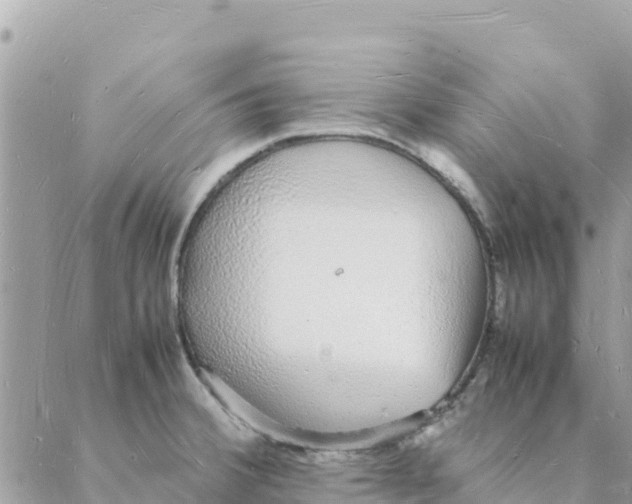 X0000088071380200706011503