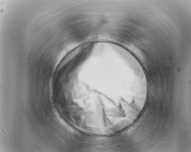 X0000088071382200706011503