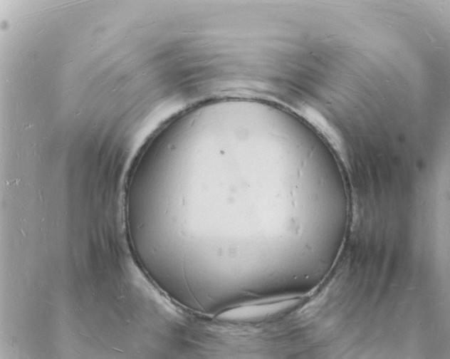 X0000088071384200706011503