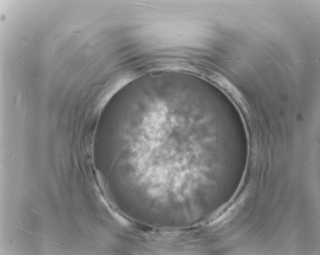 X0000088071385200706011503