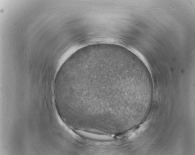 X0000088071389200706011503