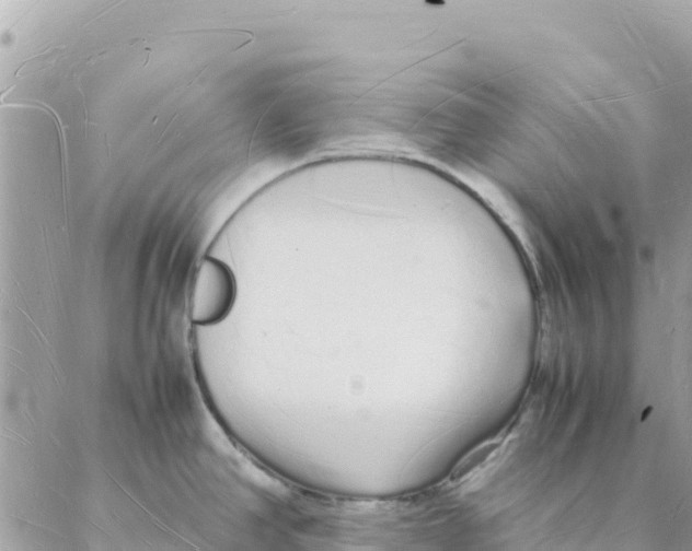 X0000088071390200706011503