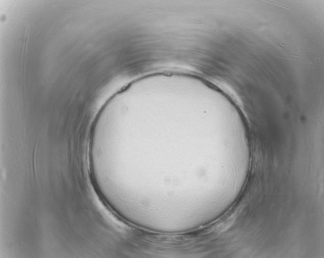 X0000088071391200706011502