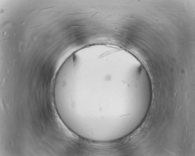 X0000088071392200706011502