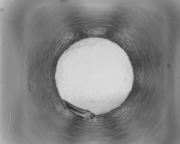 X0000088071393200706011502