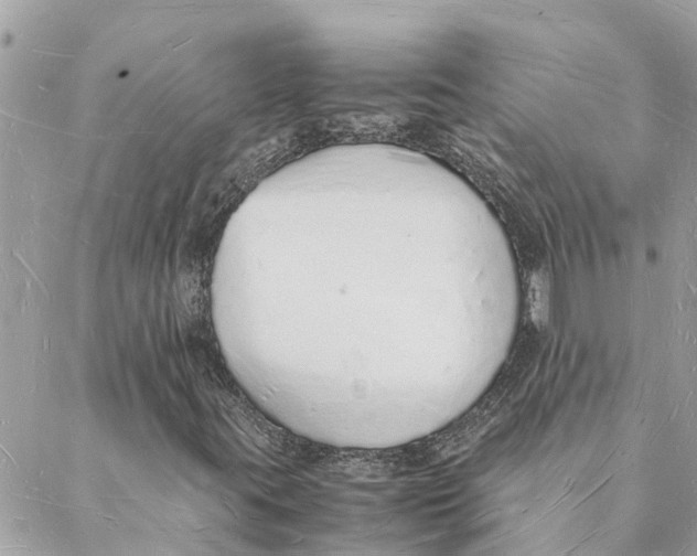 X0000088071395200706011502