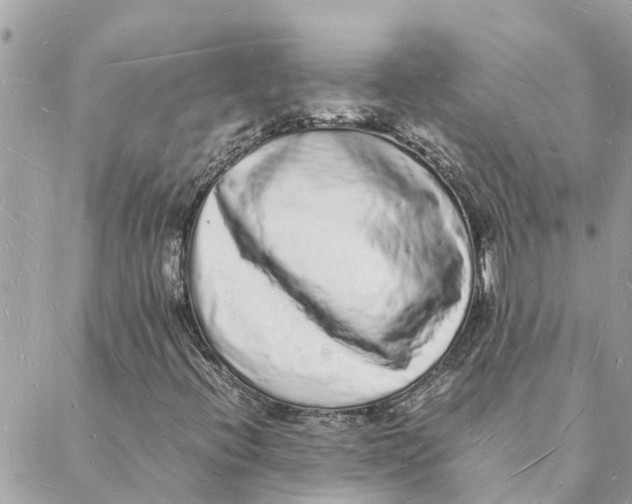 X0000088071396200706011502