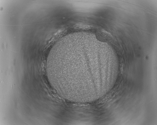 X0000088071397200706011502