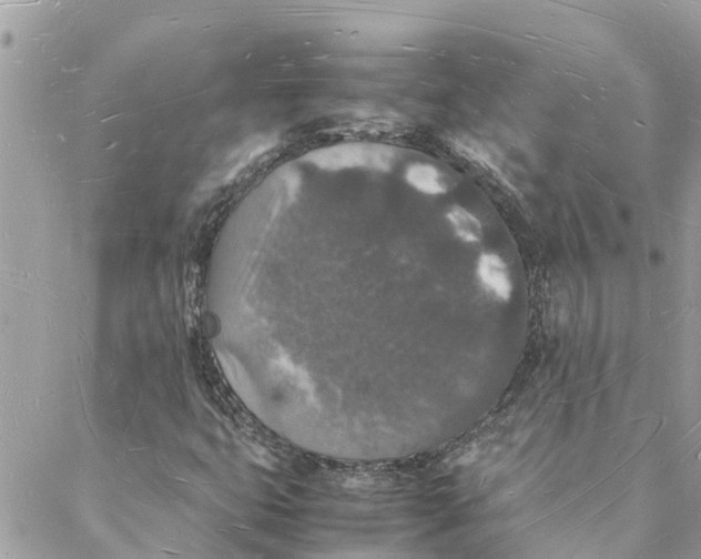 X0000088071399200706011502