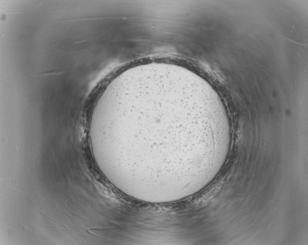 X0000088071400200706011502