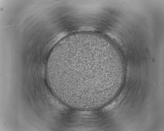 X0000088071401200706011502