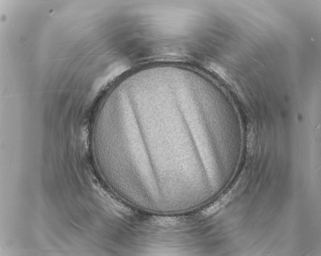 X0000088071402200706011502