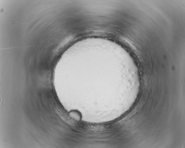 X0000088071403200706011502