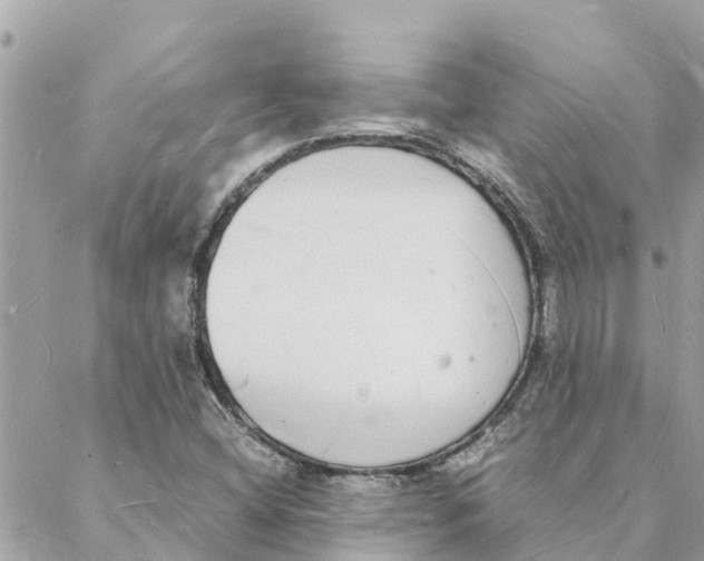 X0000088071404200706011502