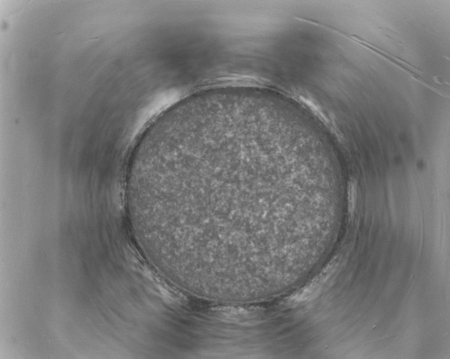 X0000088071405200706011502