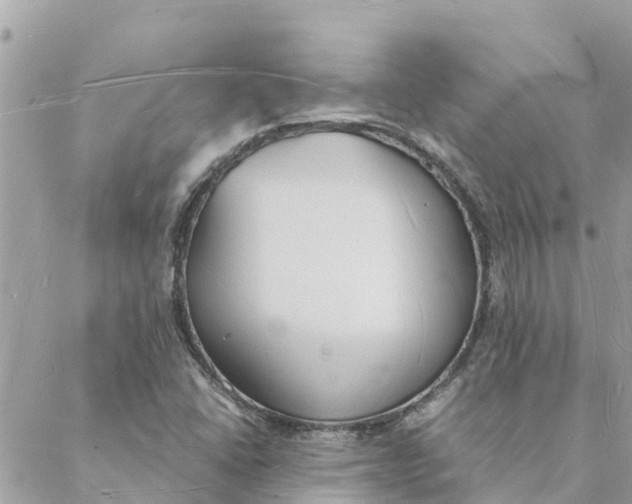 X0000088071406200706011502