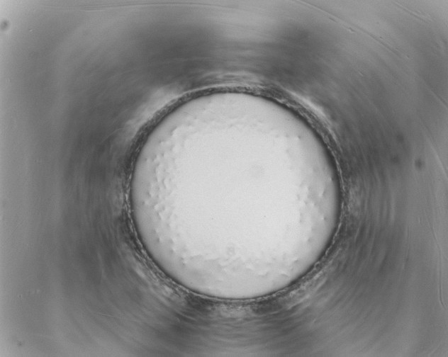 X0000088071407200706011502