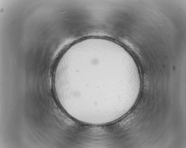 X0000088071408200706011502