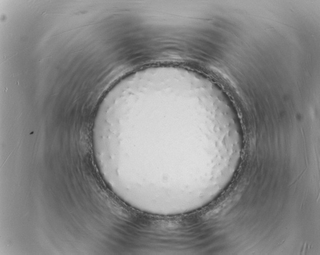 X0000088071409200706011502