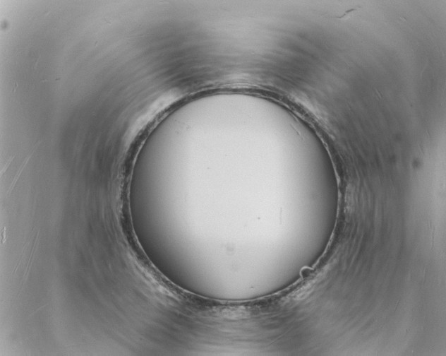 X0000088071410200706011502