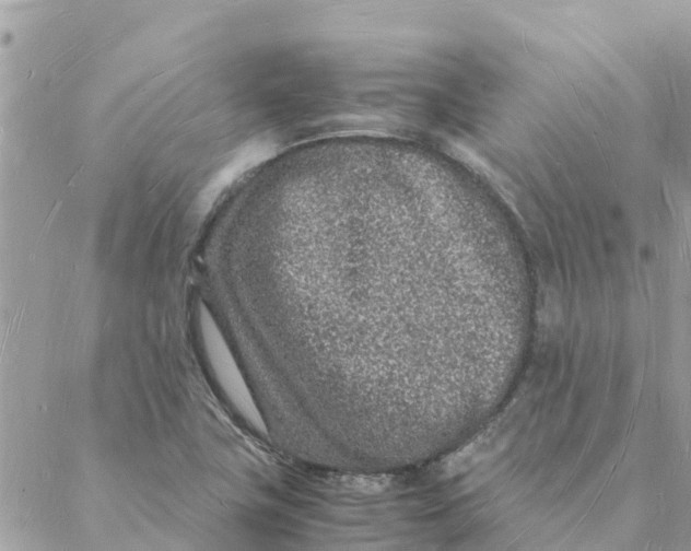 X0000088071411200706011502