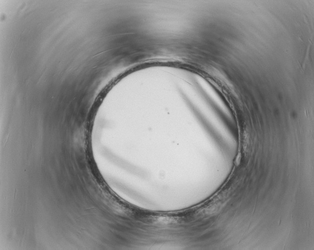 X0000088071412200706011502