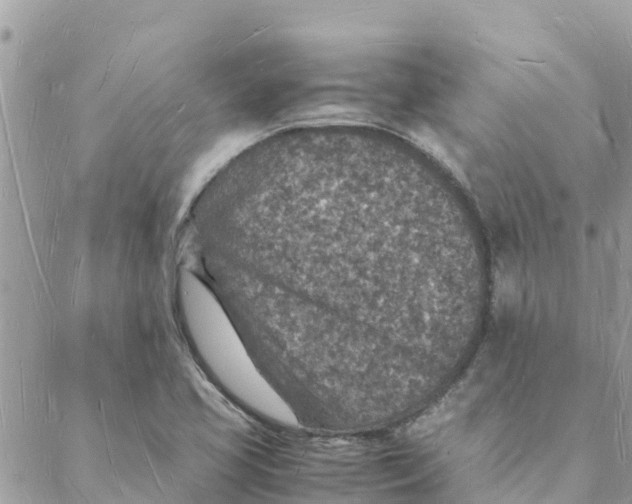 X0000088071413200706011502