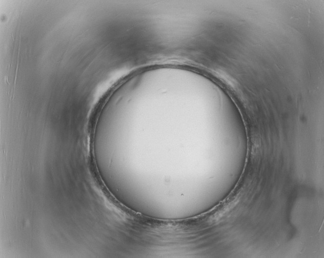 X0000088071414200706011502