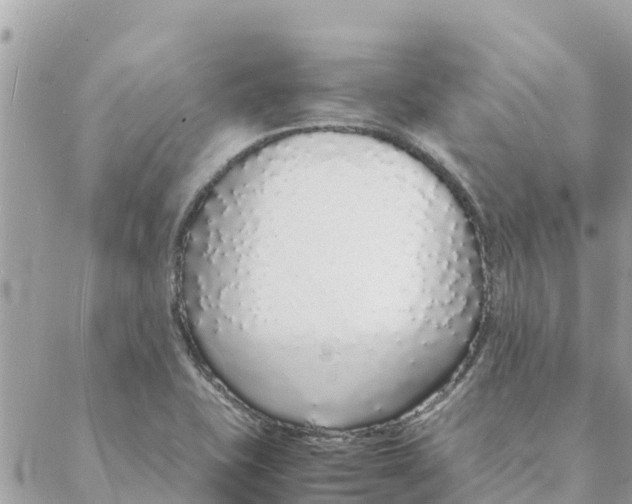 X0000088071415200706011502