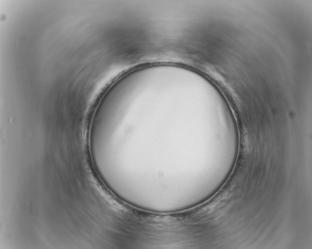 X0000088071416200706011502