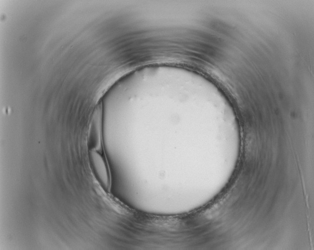 X0000088071417200706011502