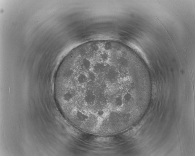 X0000088071419200706011502