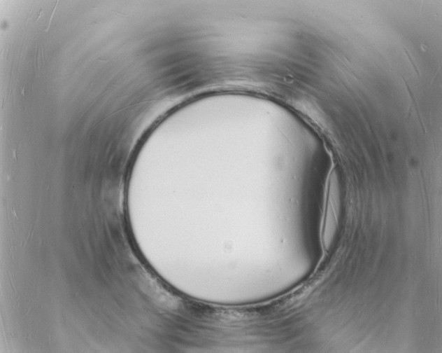 X0000088071420200706011502