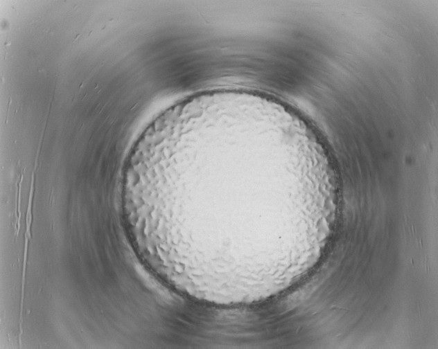 X0000088071421200706011502