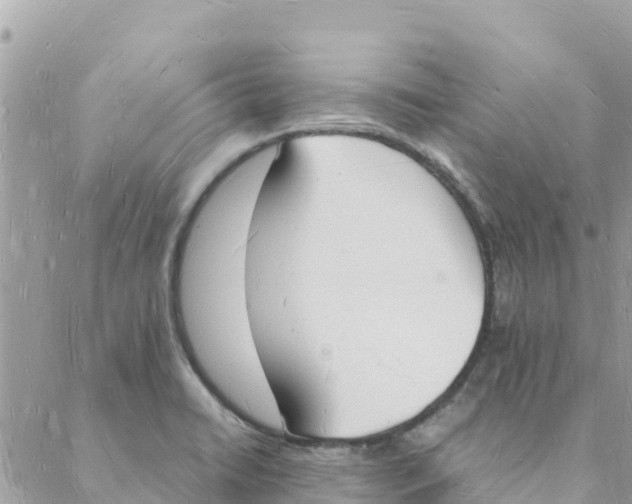 X0000088071422200706011502