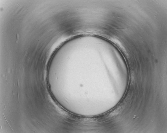 X0000088071424200706011502