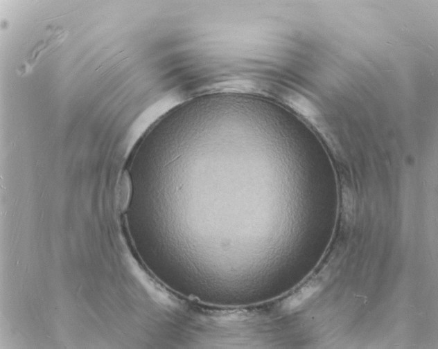 X0000088071426200706011502