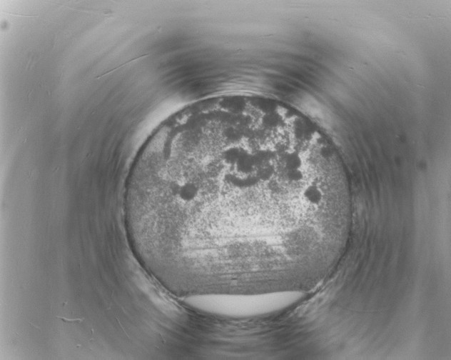 X0000088071427200706011502