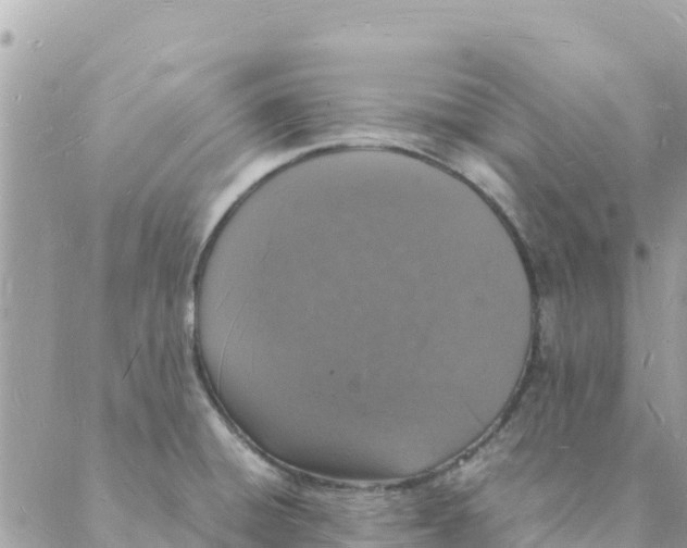 X0000088071428200706011502