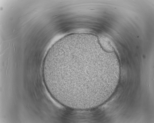 X0000088071429200706011502