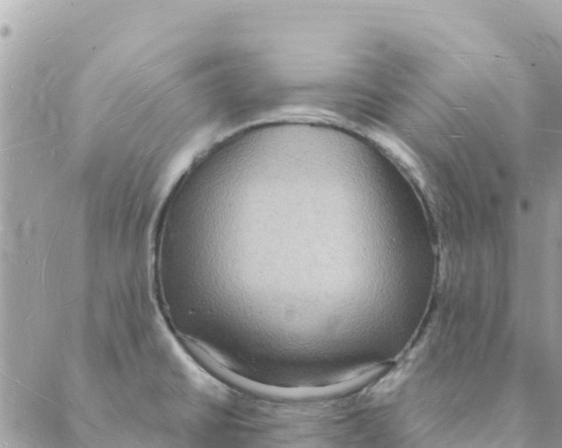 X0000088071430200706011502