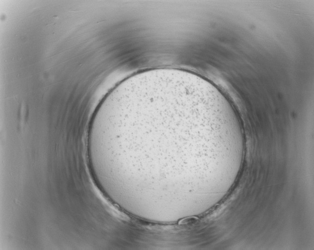 X0000088071432200706011502