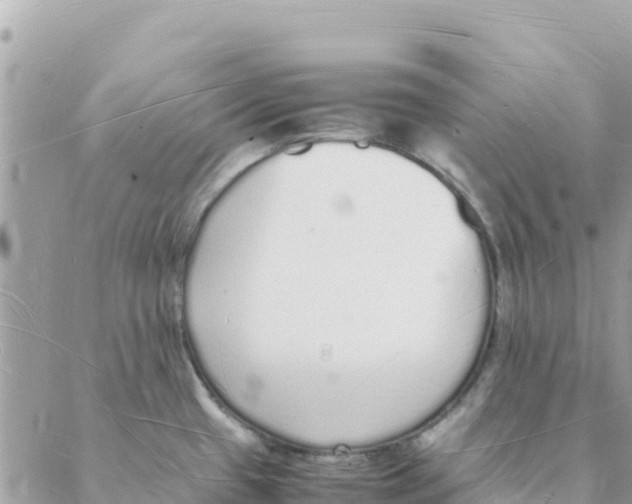 X0000088071433200706011502