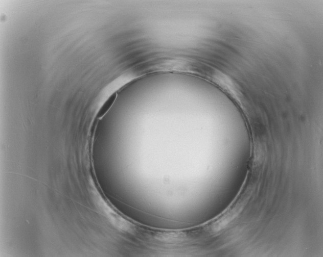 X0000088071434200706011502